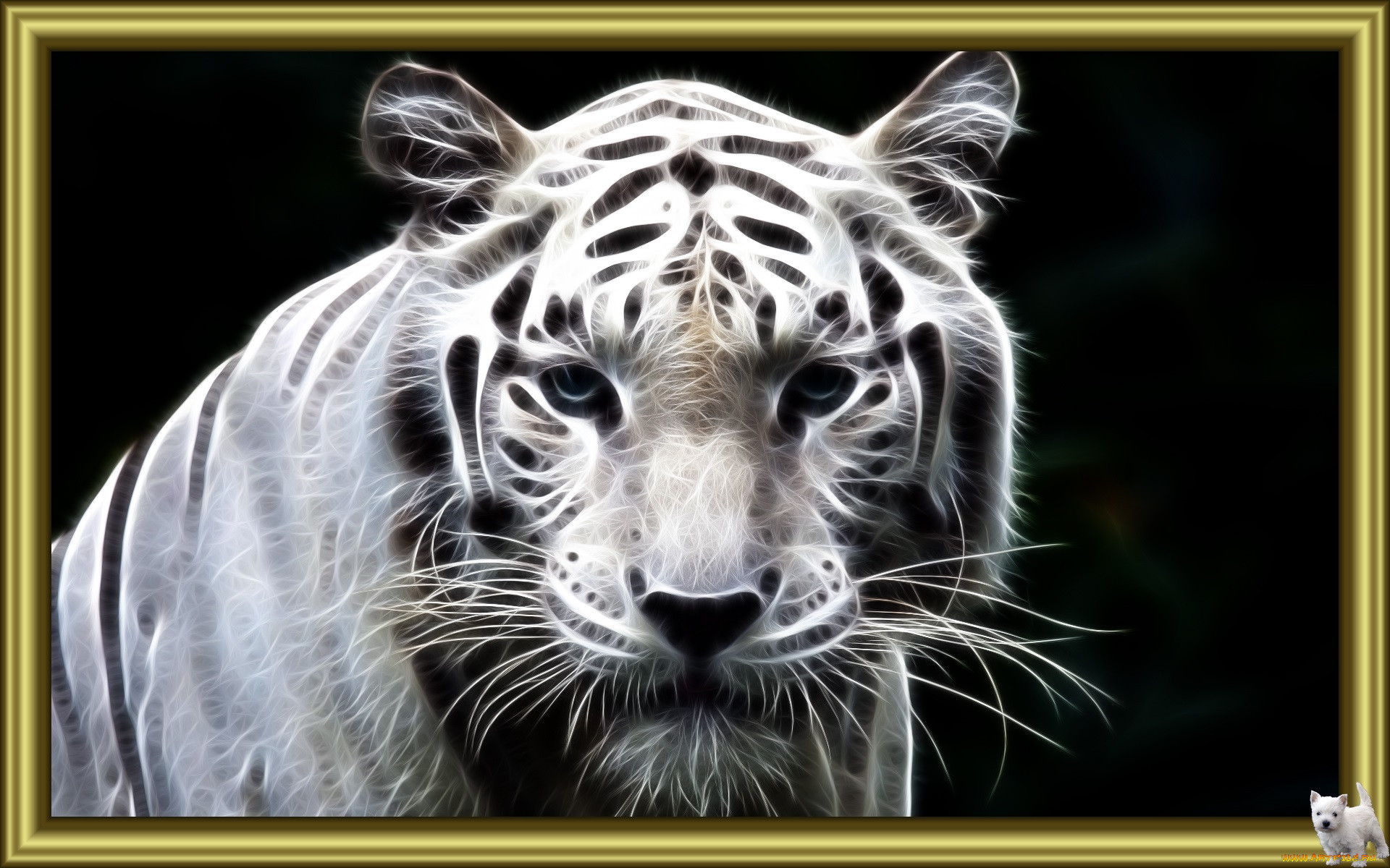 3, , animals, , 